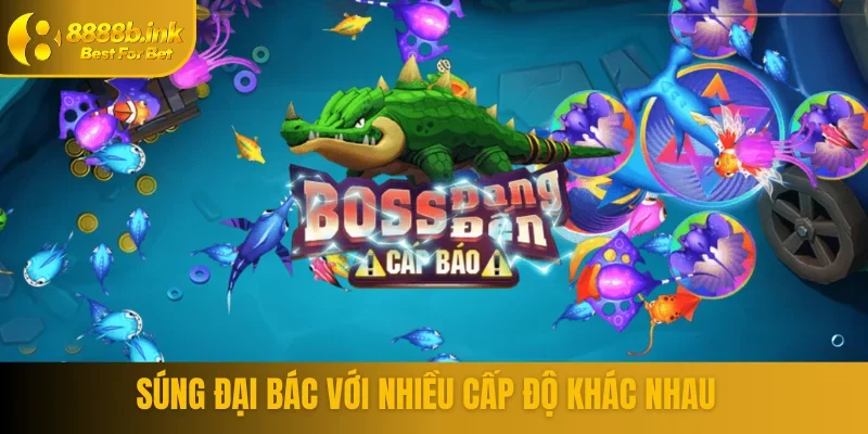 Súng đại bác với các cấp độ riêng biệt