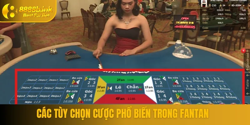 Các tùy chọn cược phổ biến trong fantan