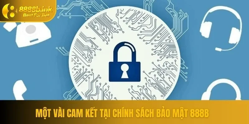 Cam kết của nền tảng