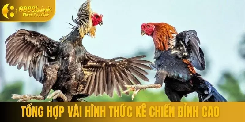 Tổng hợp vài hình thức kê chiến đỉnh cao