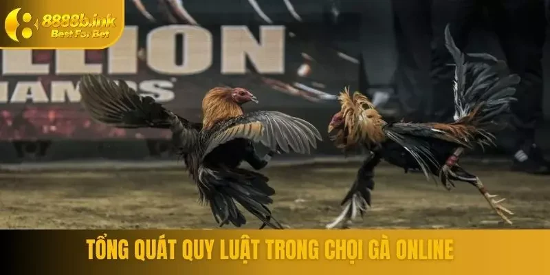 Tổng quát quy luật trong chọi gà online