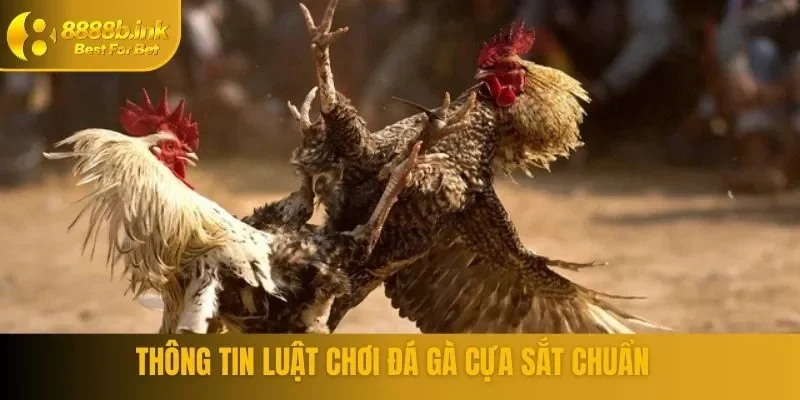 Những quy định thắng thua