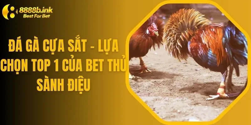 Đá Gà Cựa Sắt - Lựa Chọn Top 1 Của Bet Thủ Sành Điệu