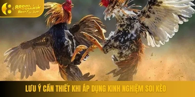 Các lưu ý cần thiết