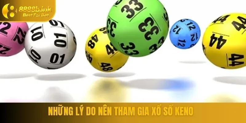 Các lý do nên tham gia